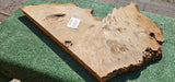 Bay Laurel Burl # 143916