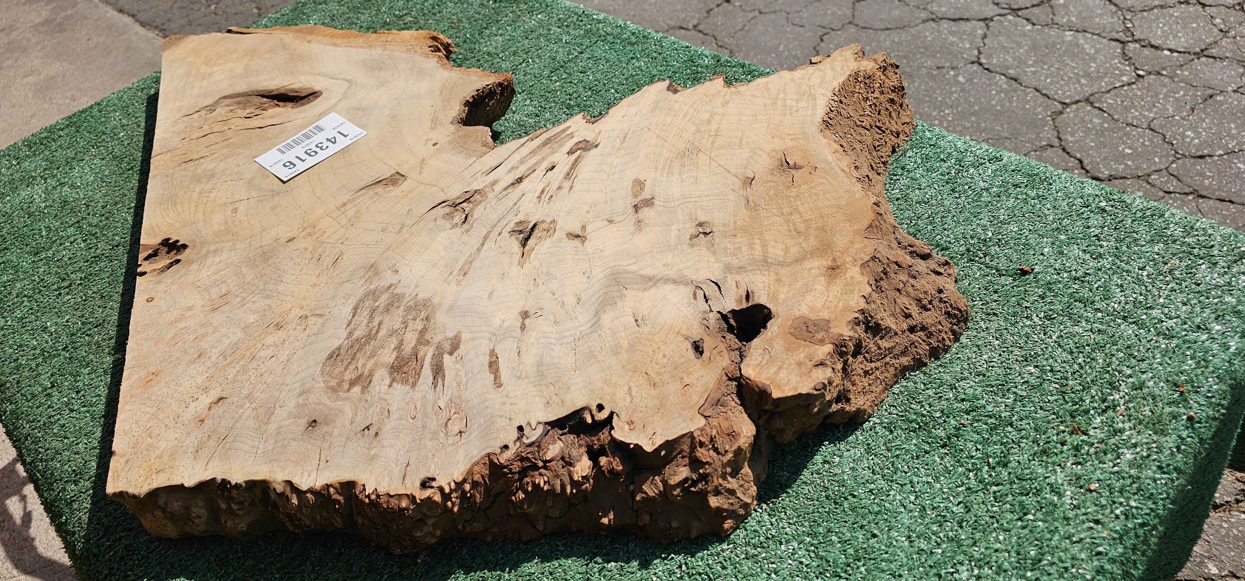 Bay Laurel Burl # 143916