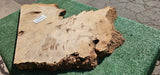 Bay Laurel Burl # 143916