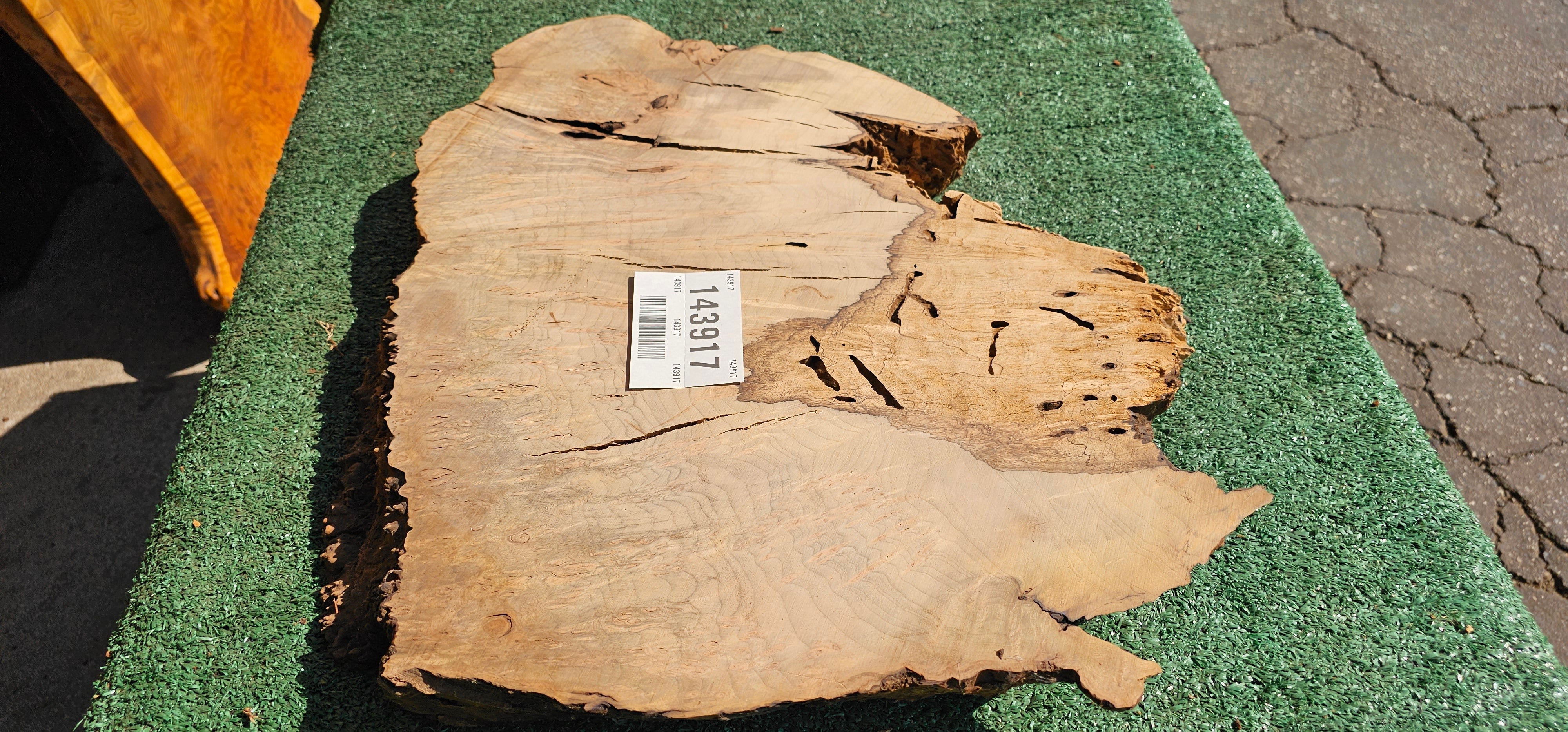 Bay Laurel Burl # 143917