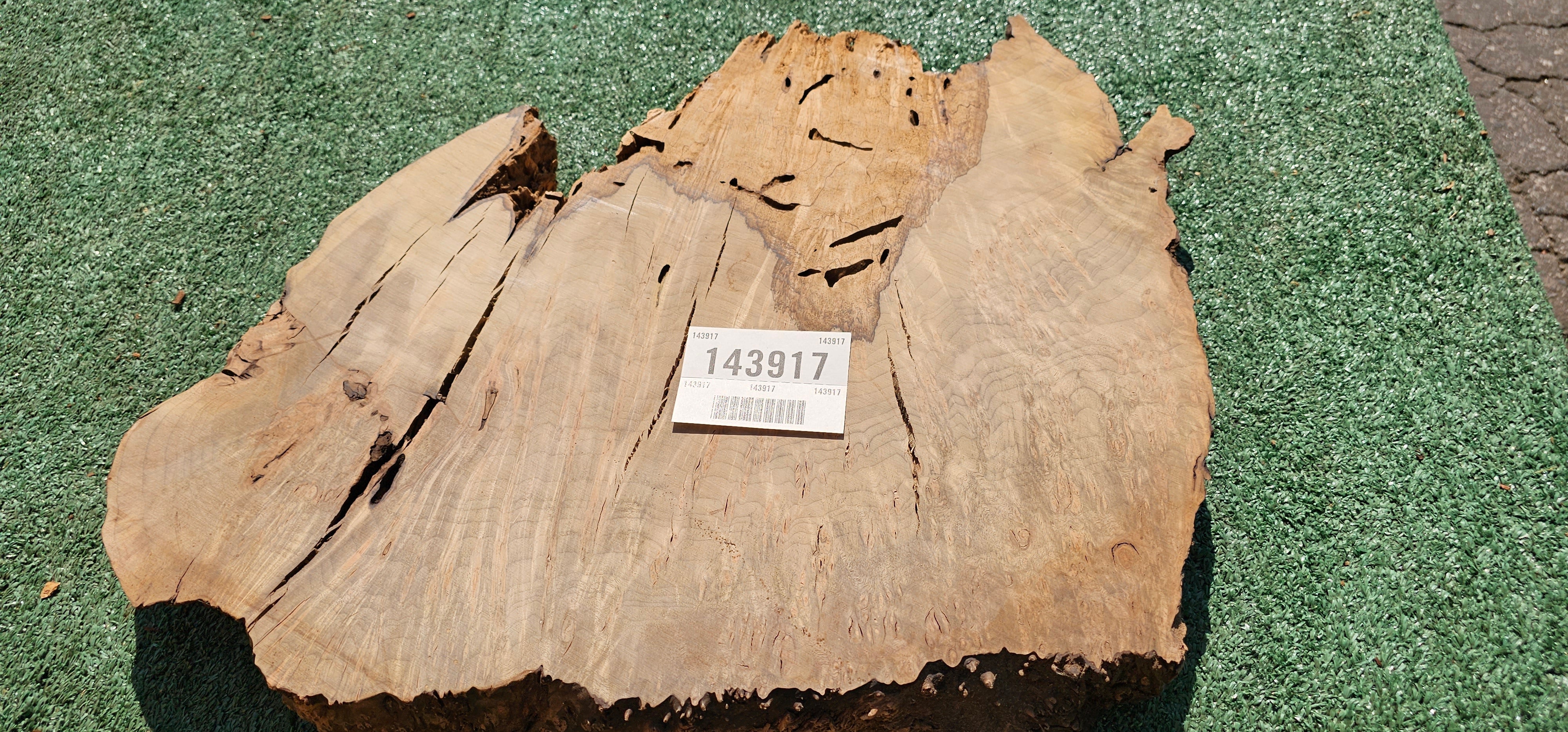 Bay Laurel Burl # 143917