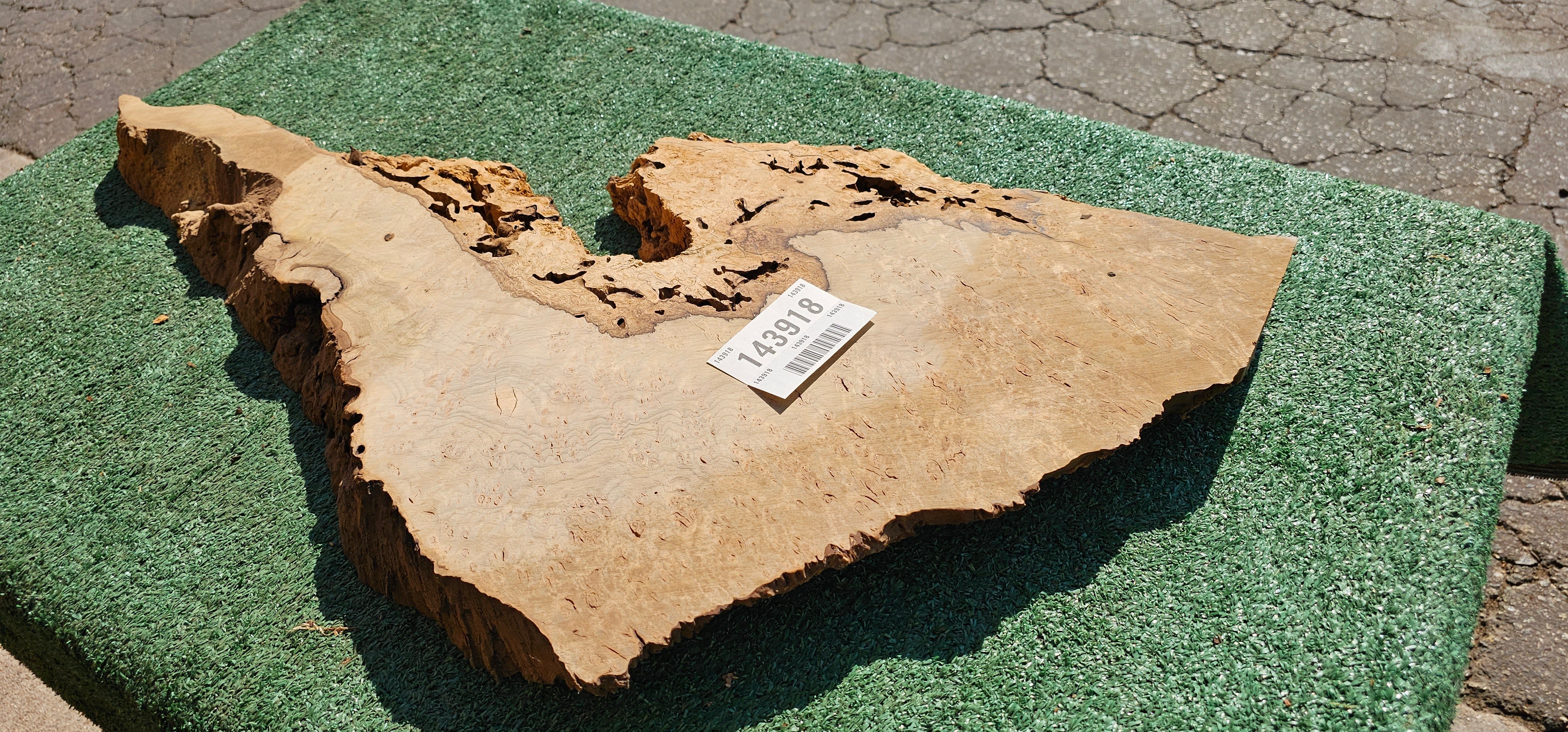 Bay Laurel Burl # 143918
