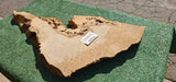 Bay Laurel Burl # 143918