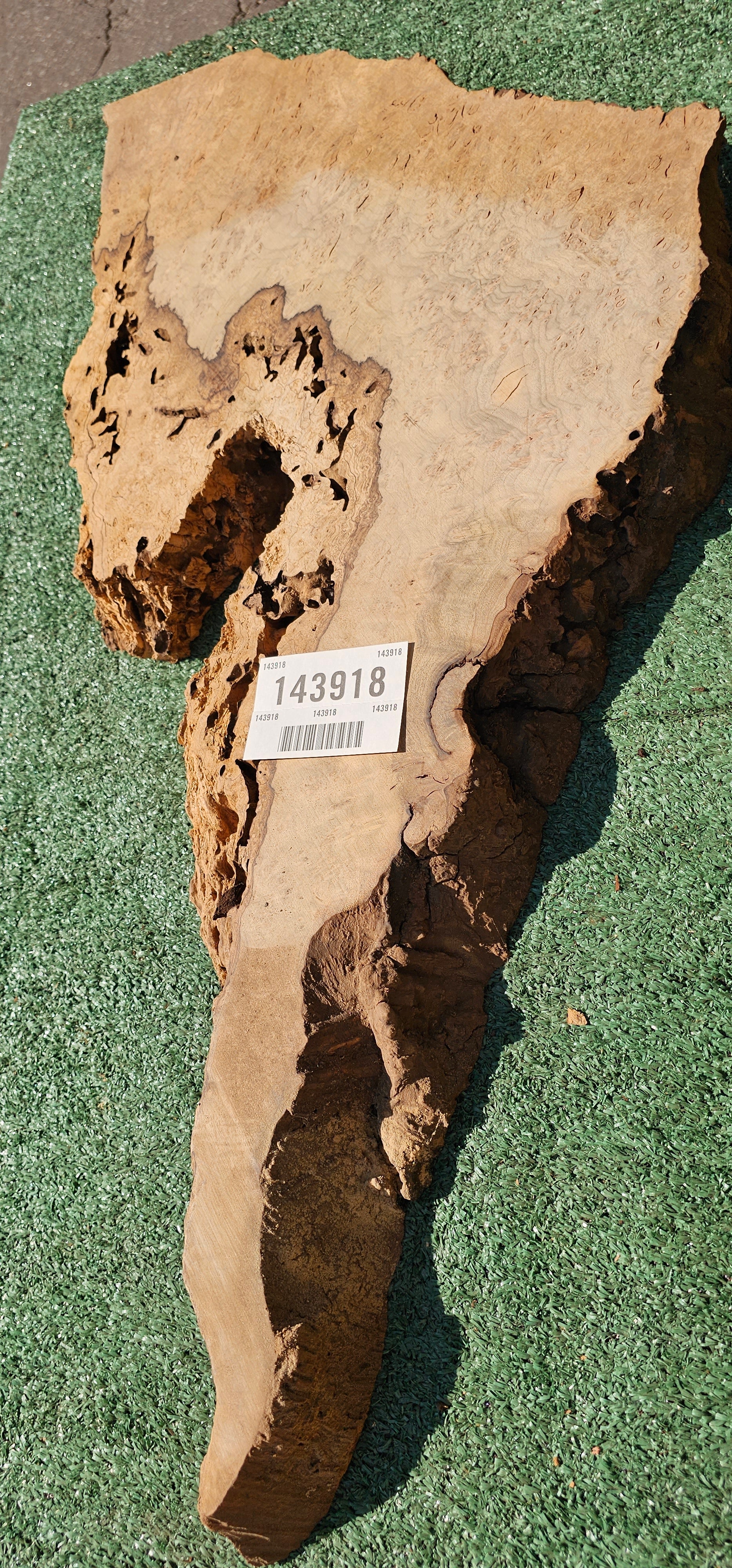 Bay Laurel Burl # 143918