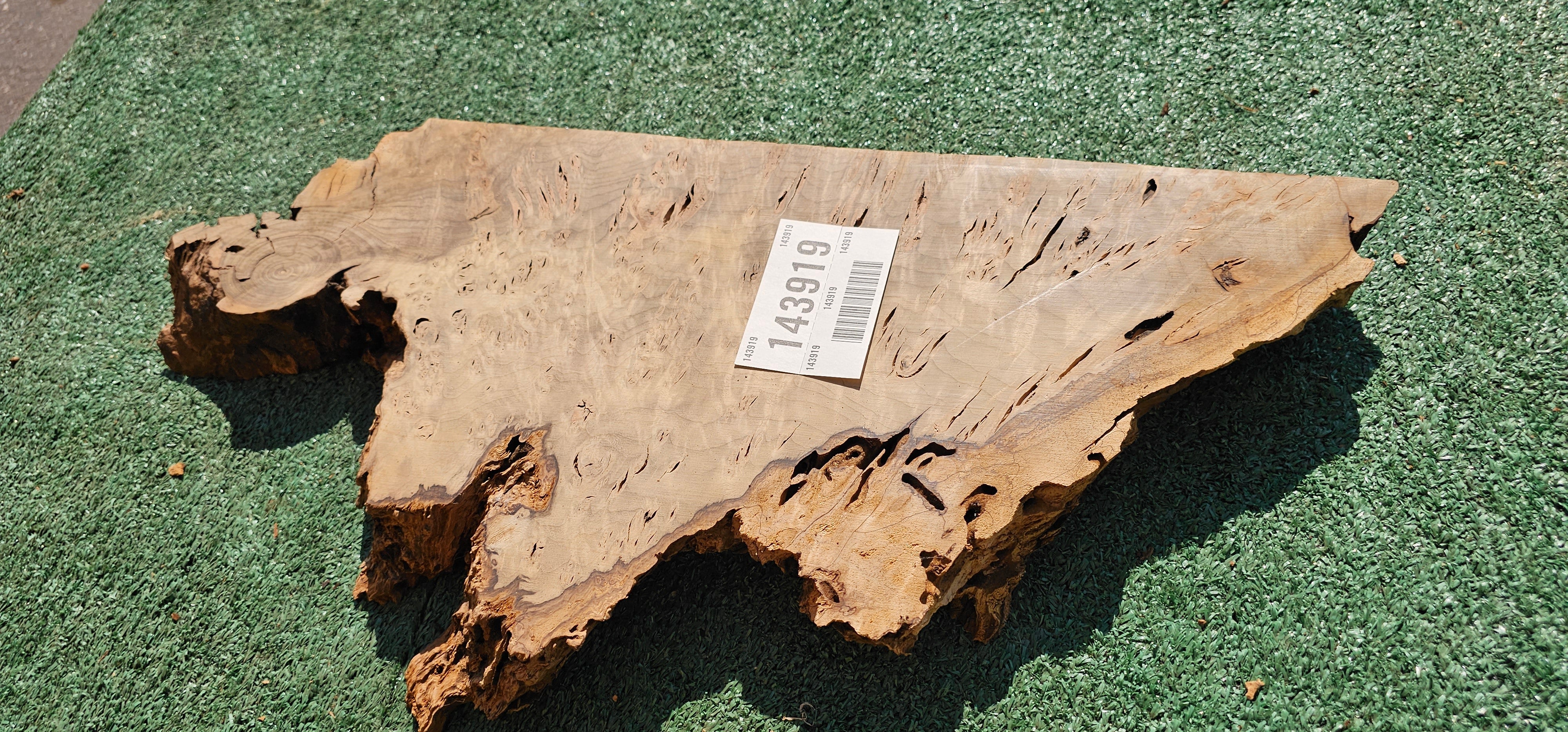 Bay Laurel Burl # 143919