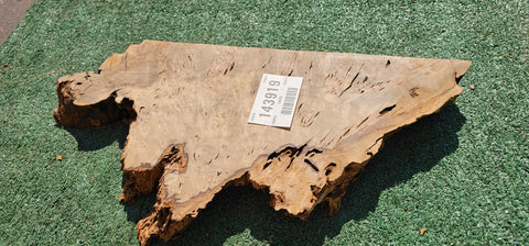 Bay Laurel Burl # 143919