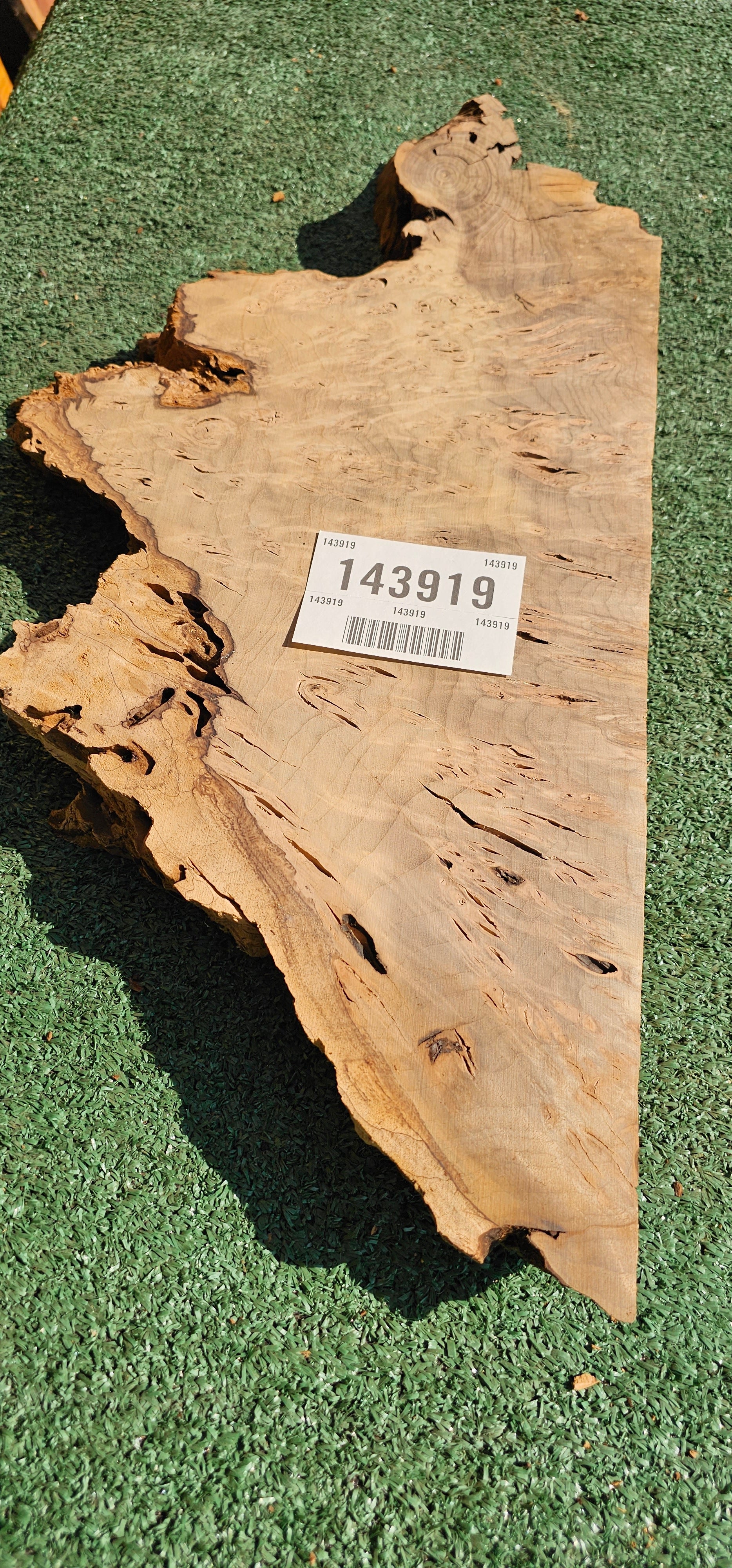 Bay Laurel Burl # 143919