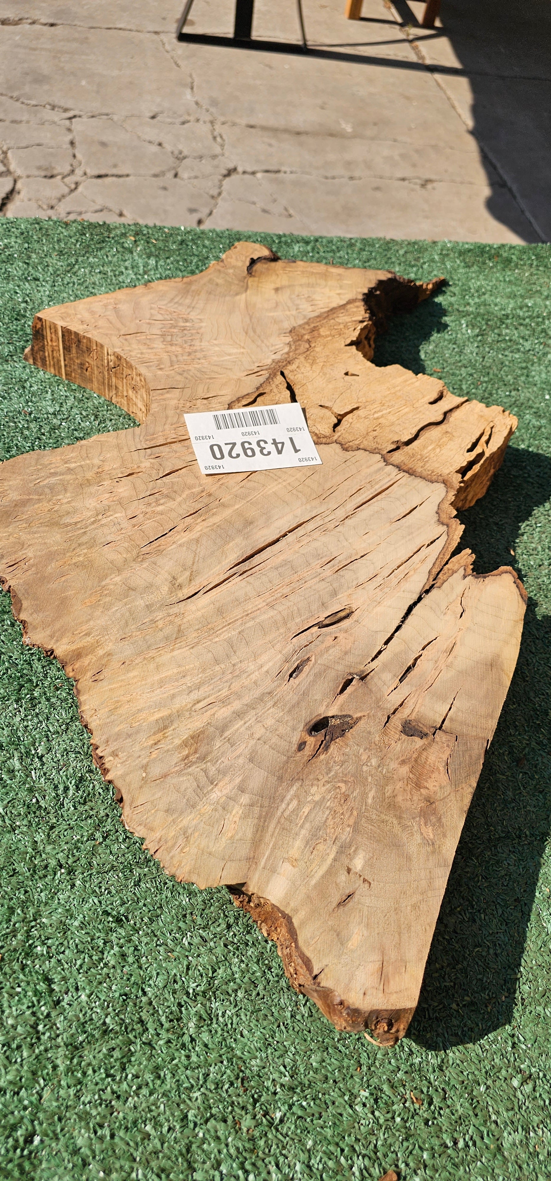 Bay Laurel Burl # 143920