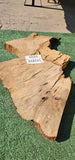 Bay Laurel Burl # 143920