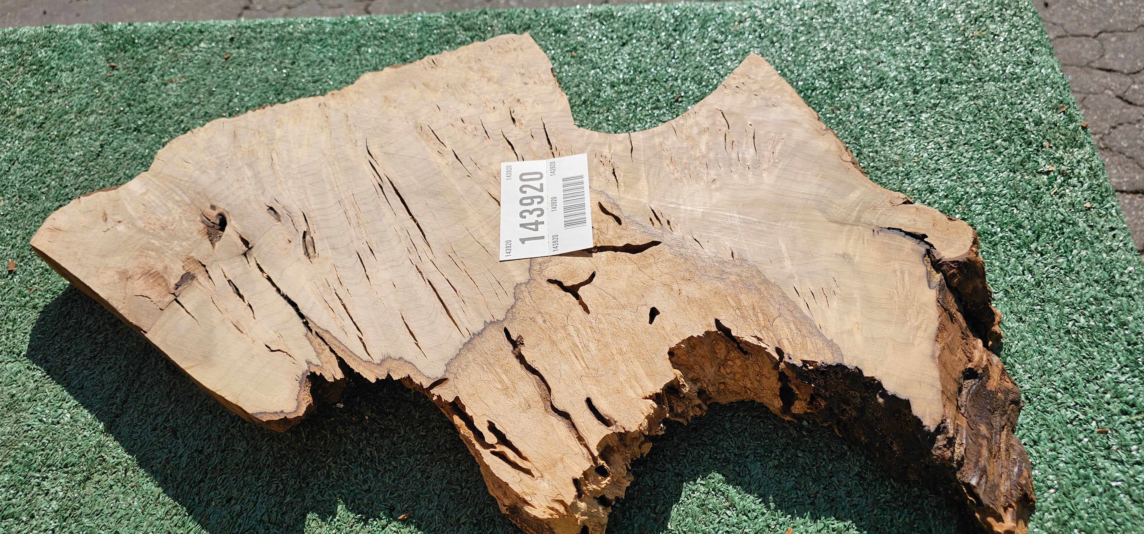 Bay Laurel Burl # 143920