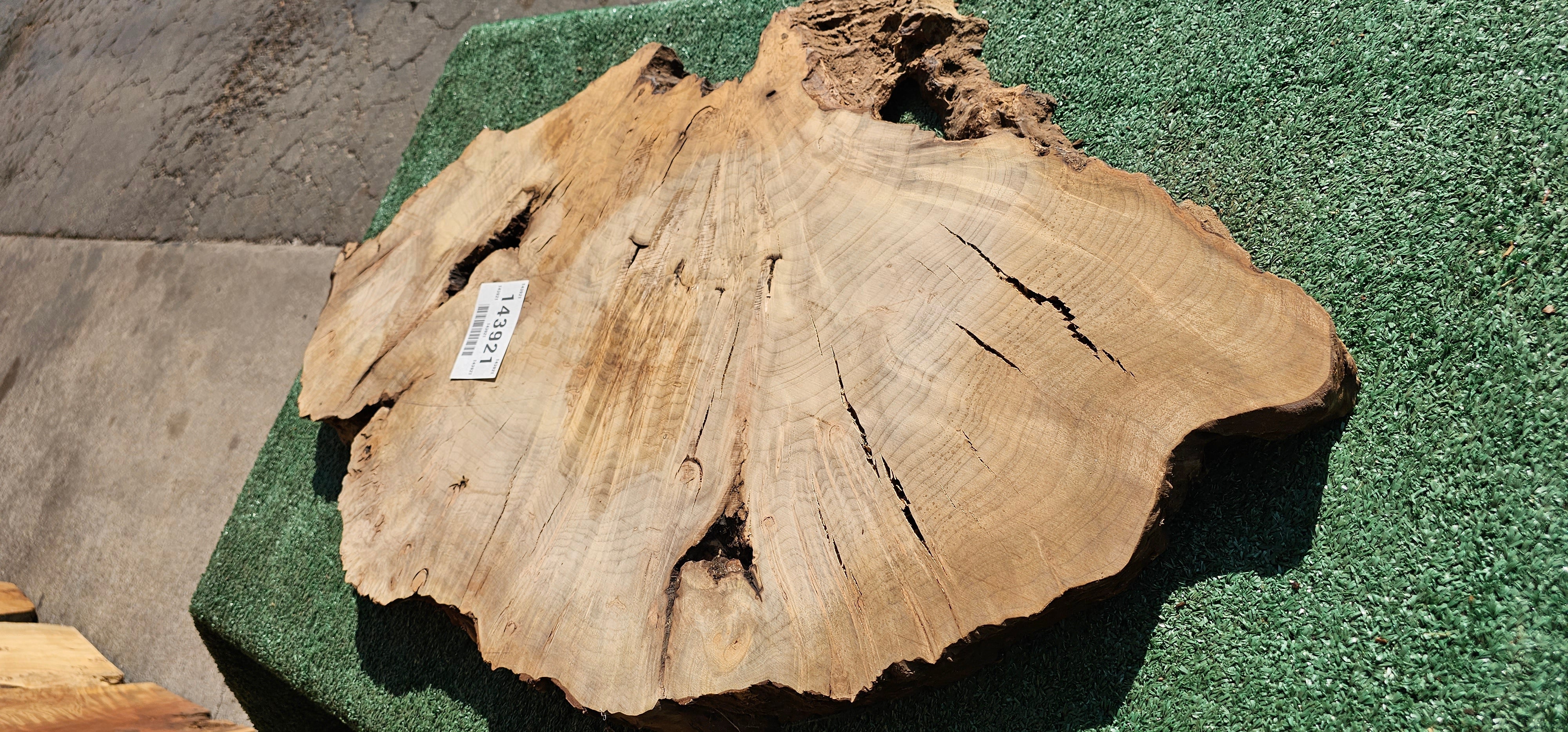 Bay Laurel Burl # 143921