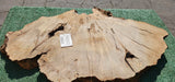Bay Laurel Burl # 143921