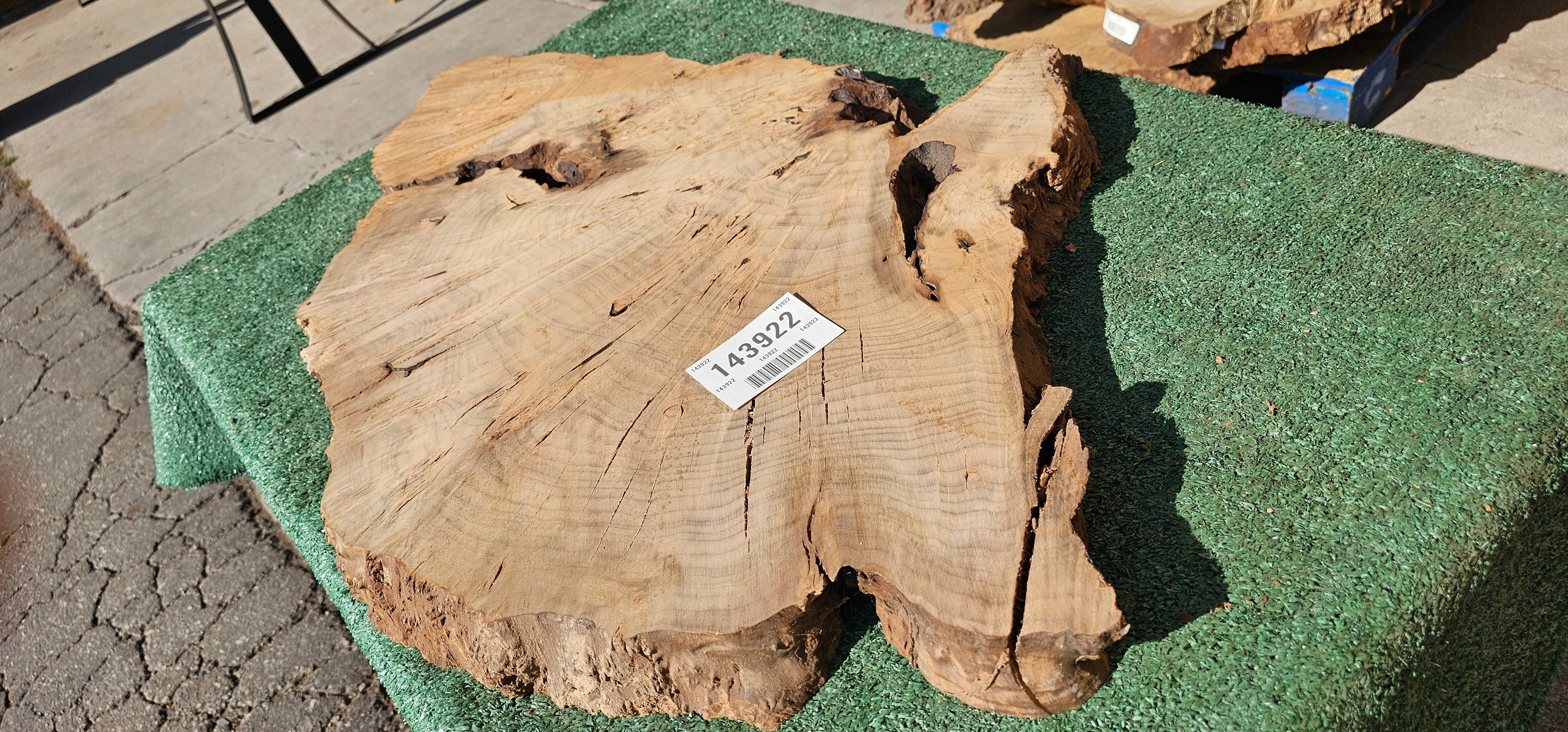 Bay Laurel Burl # 143922