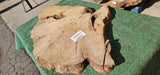 Bay Laurel Burl # 143922