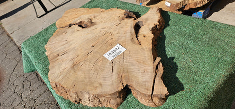 Bay Laurel Burl # 143922