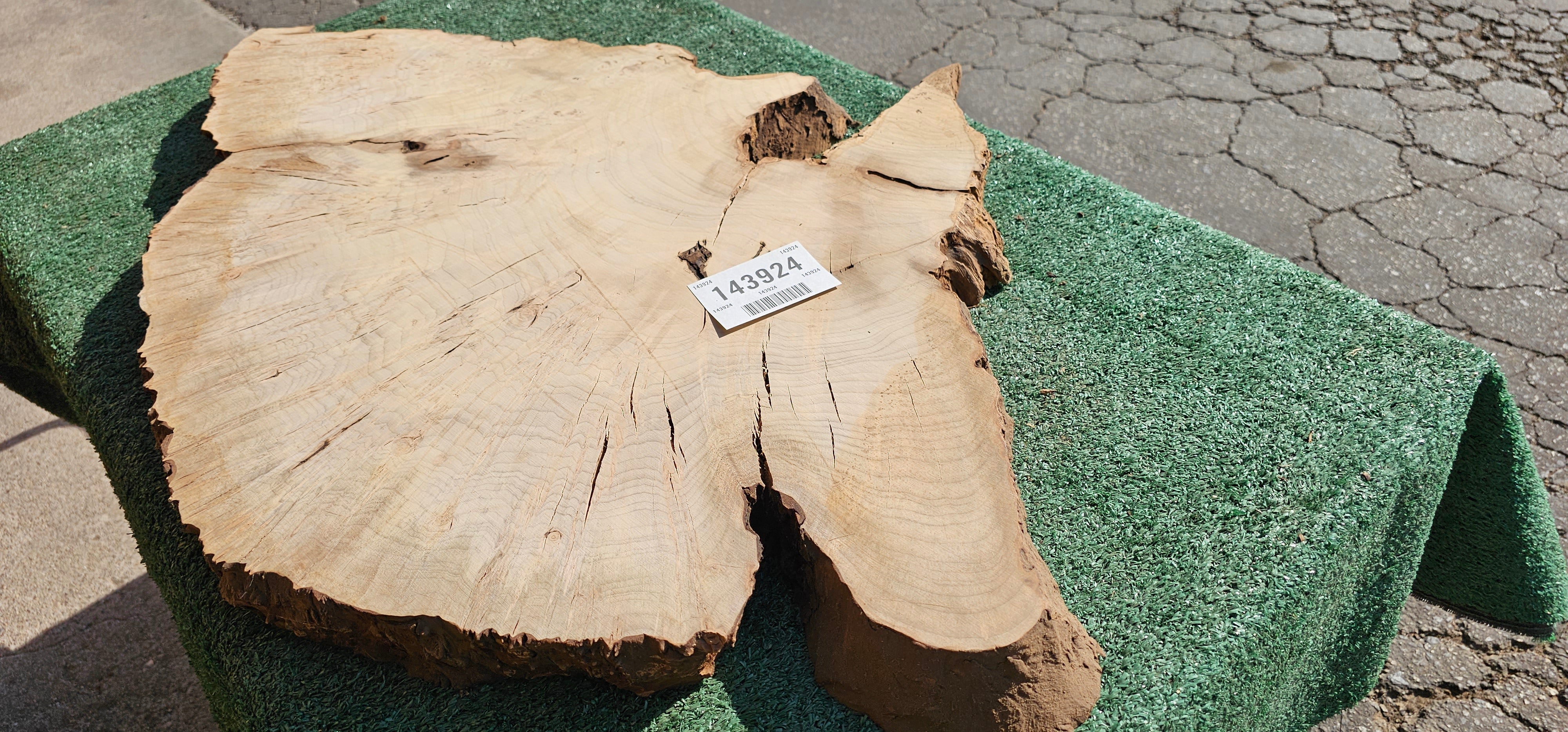 Bay Laurel Burl # 143923