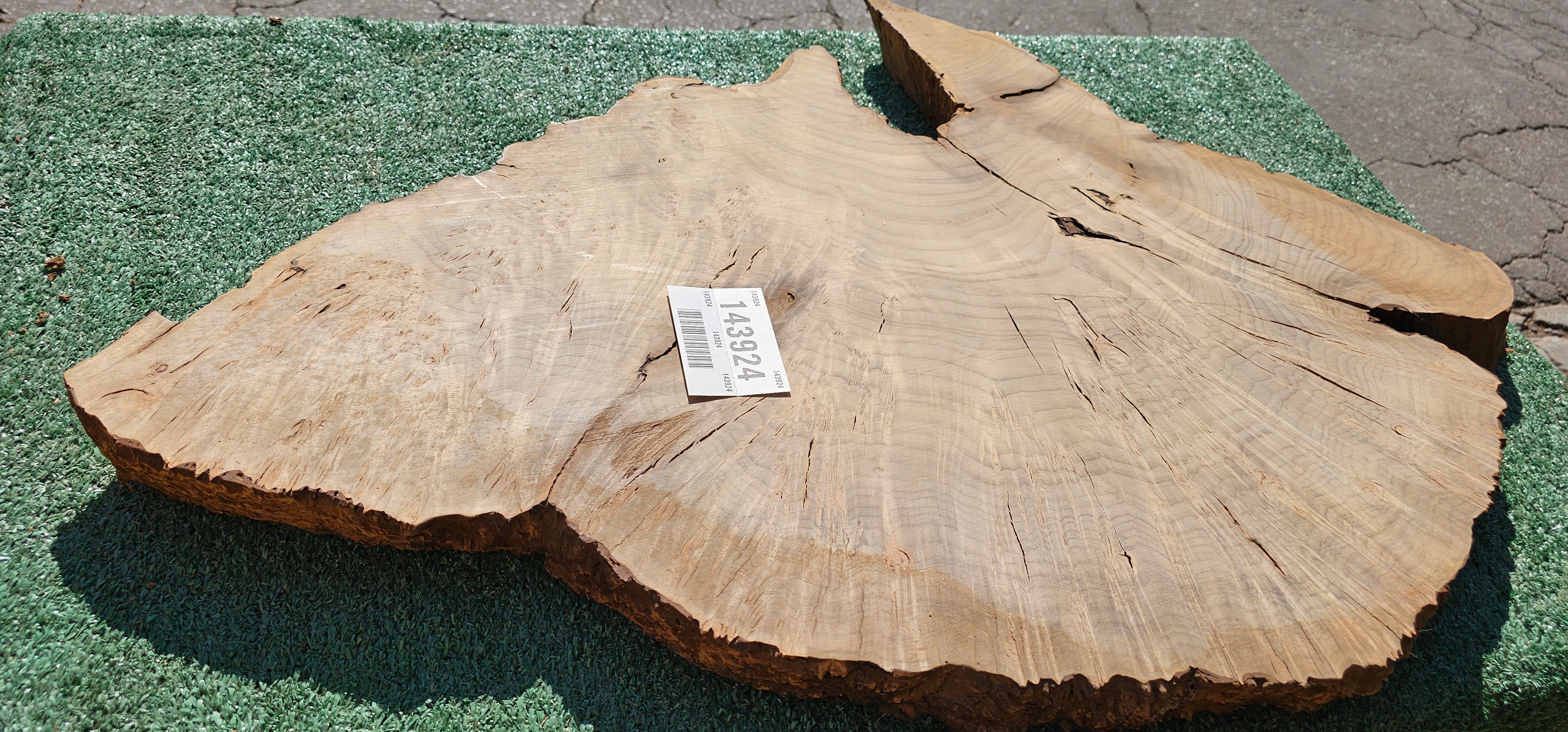 Bay Laurel Burl # 143923