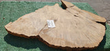 Bay Laurel Burl # 143924
