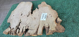 Bay Laurel Burl # 143925