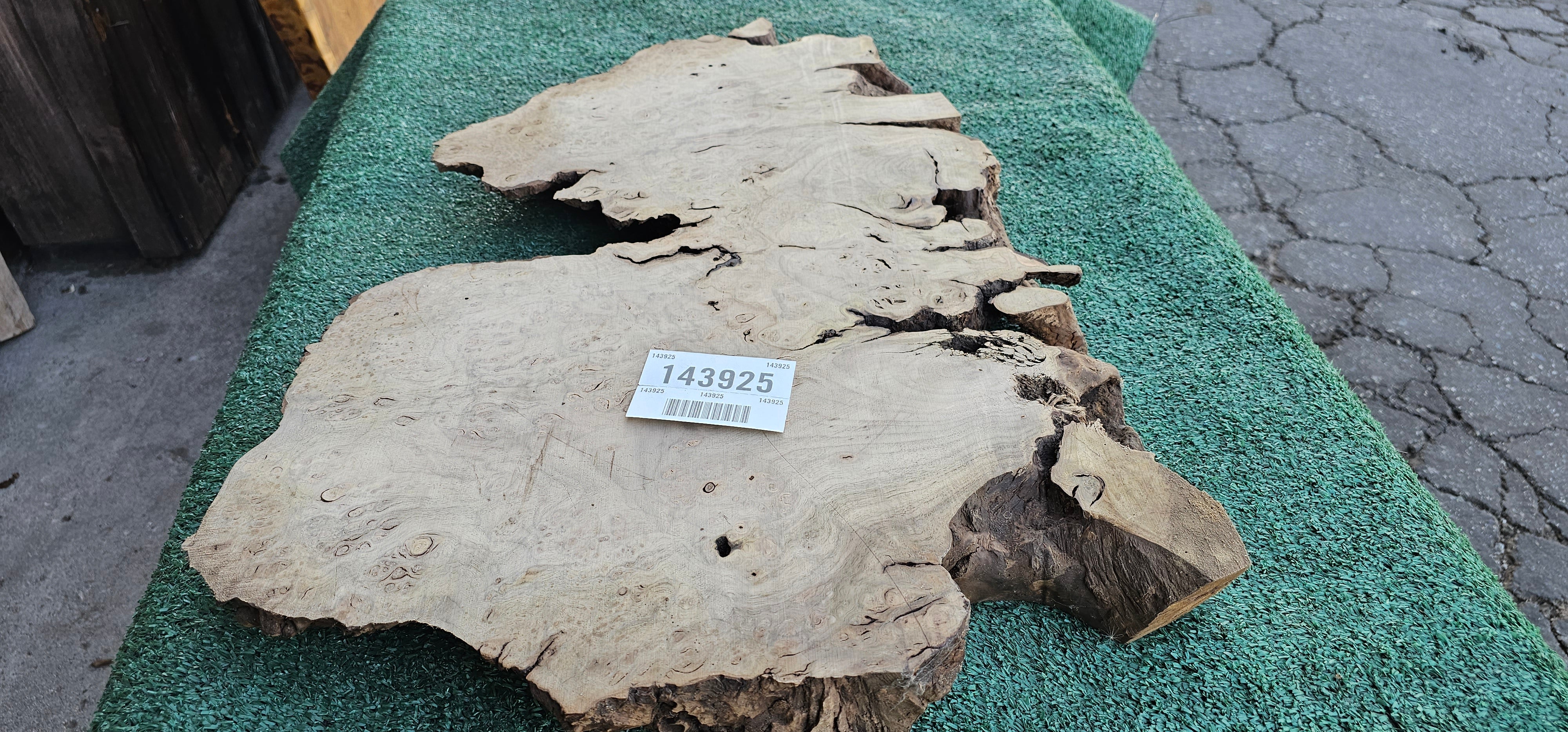 Bay Laurel Burl # 143925