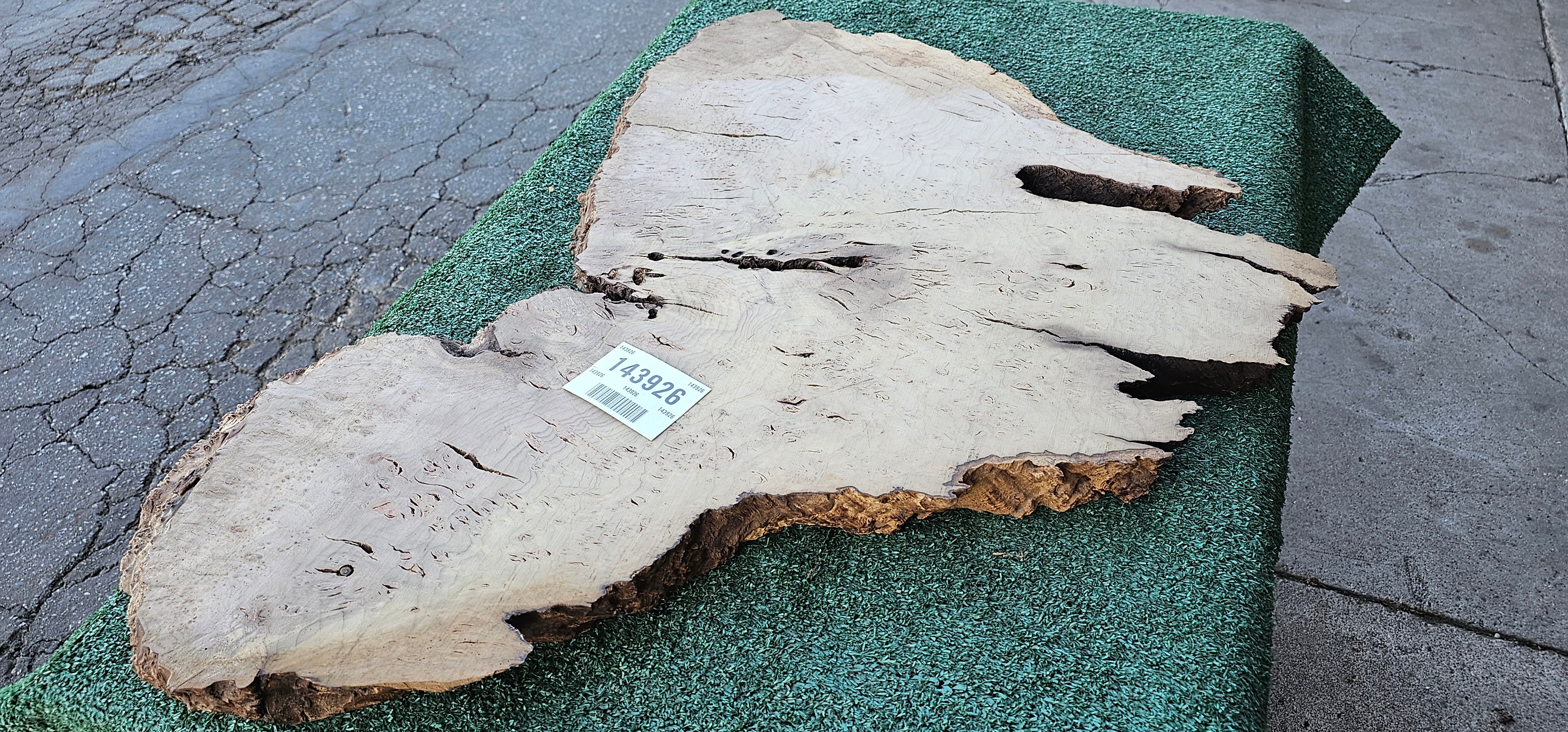 Bay Laurel Burl # 143926