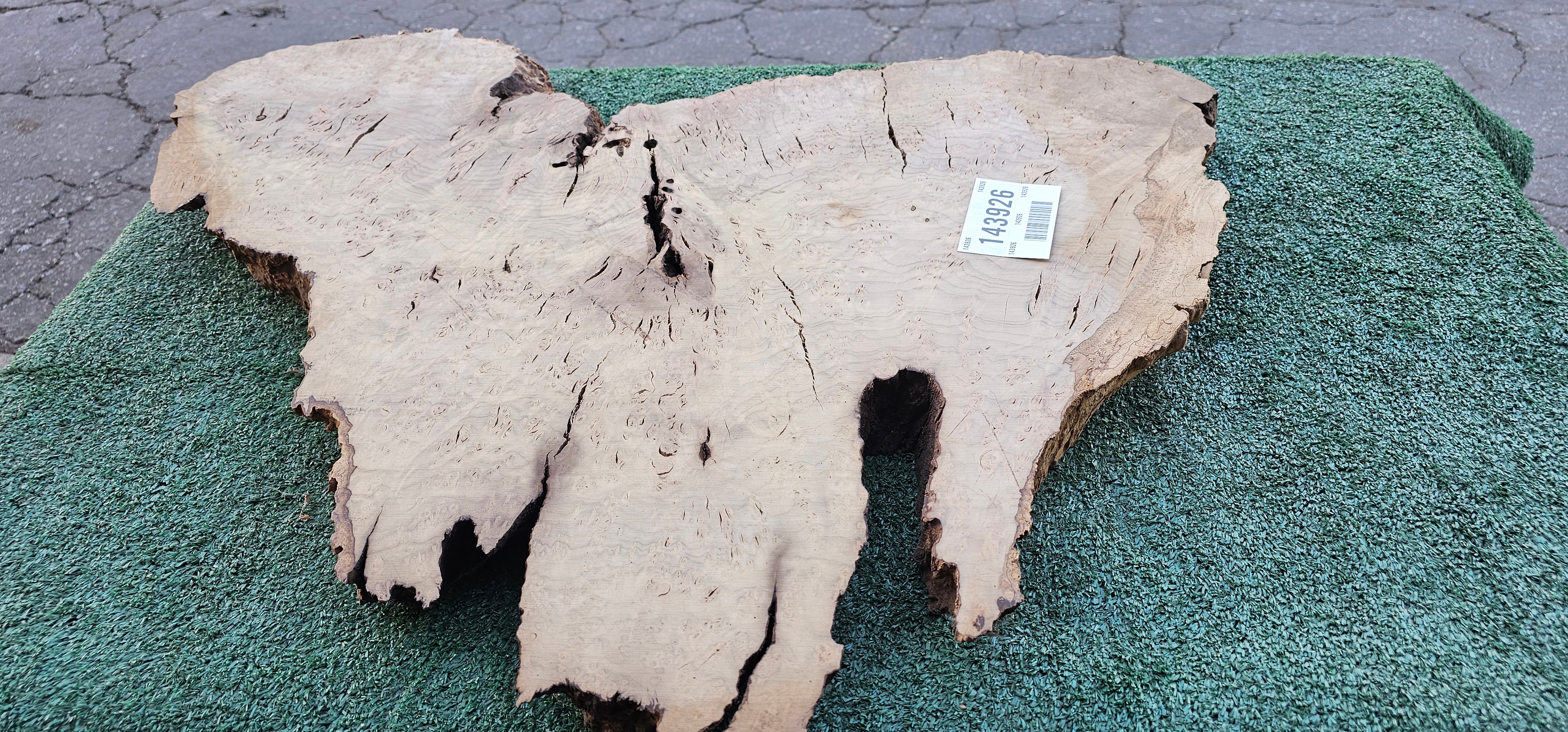 Bay Laurel Burl # 143926