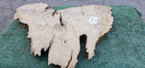 Bay Laurel Burl # 143926