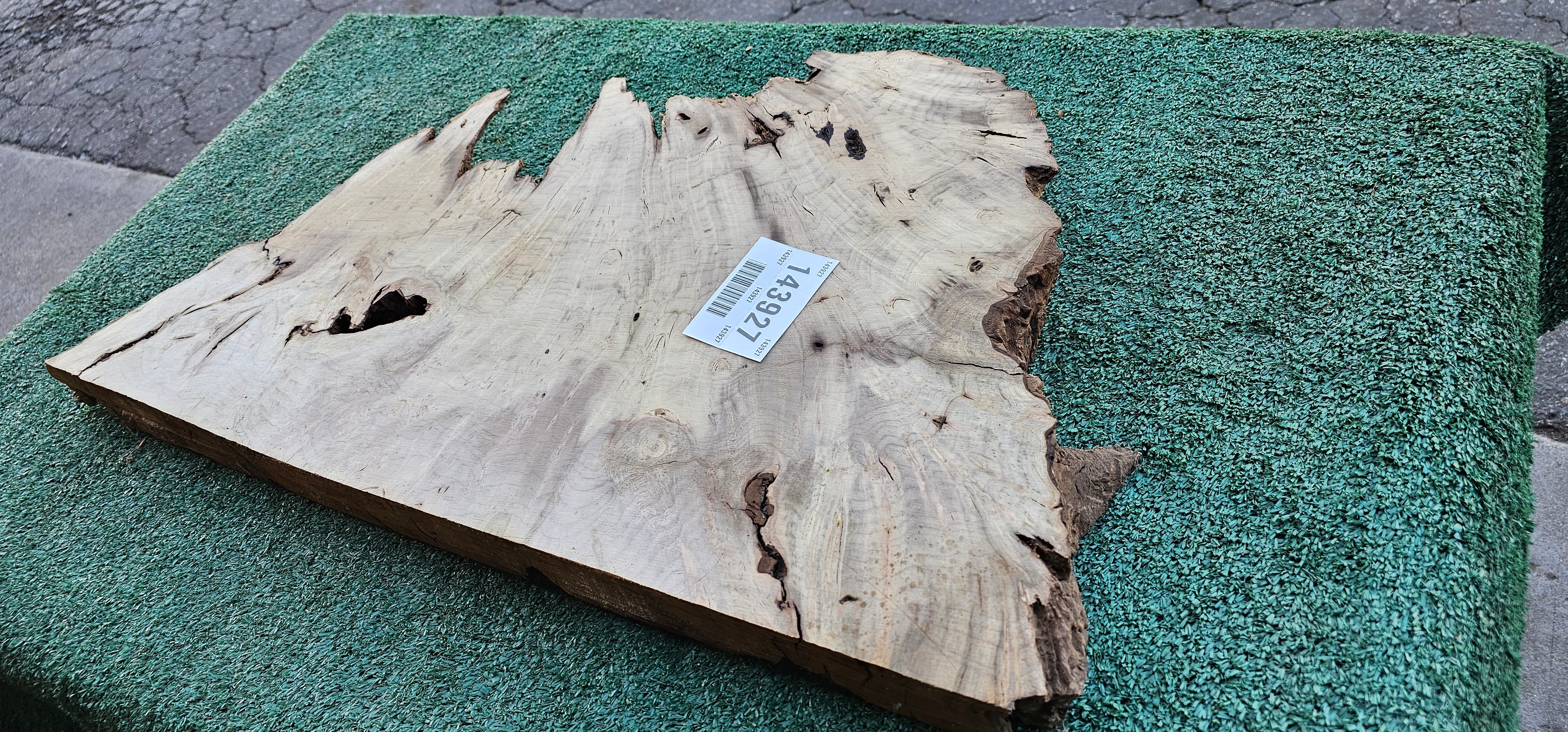 Bay Laurel Burl # 143927