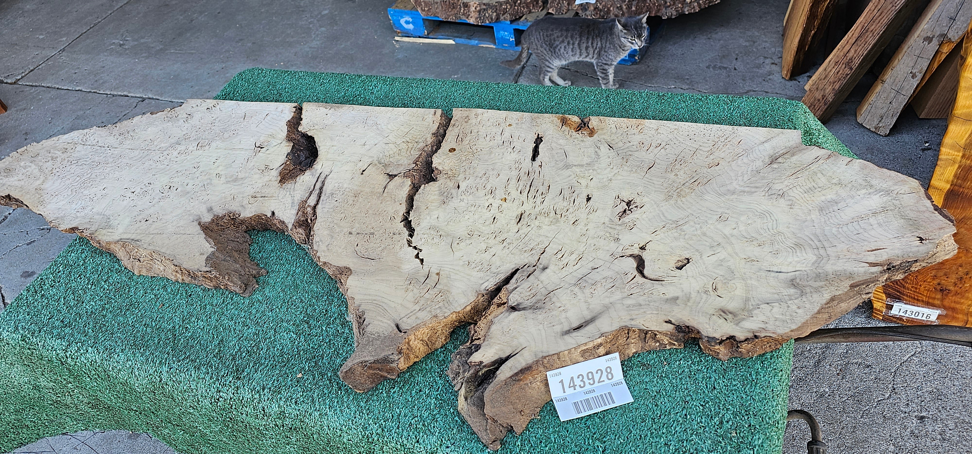 Bay Laurel Burl # 143928