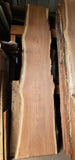 Old Growth Redwood # 1439365