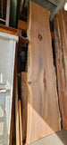 Old Growth Redwood # 143936
