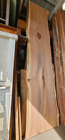 Old Growth Redwood # 143936
