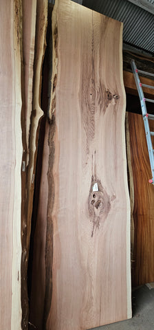 Old Growth Redwood # 143941