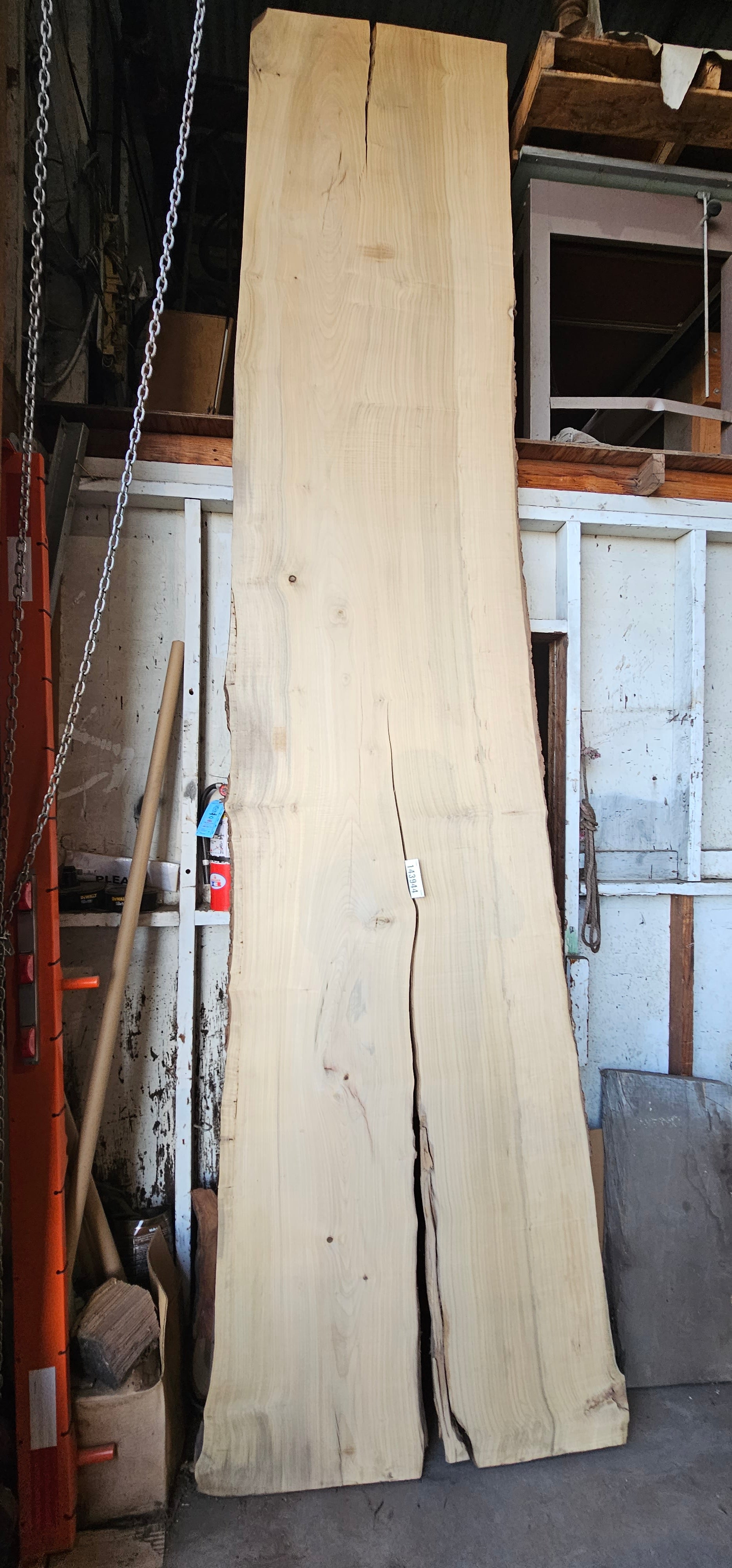 Bay Laurel #143944