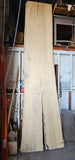 Bay Laurel #143944