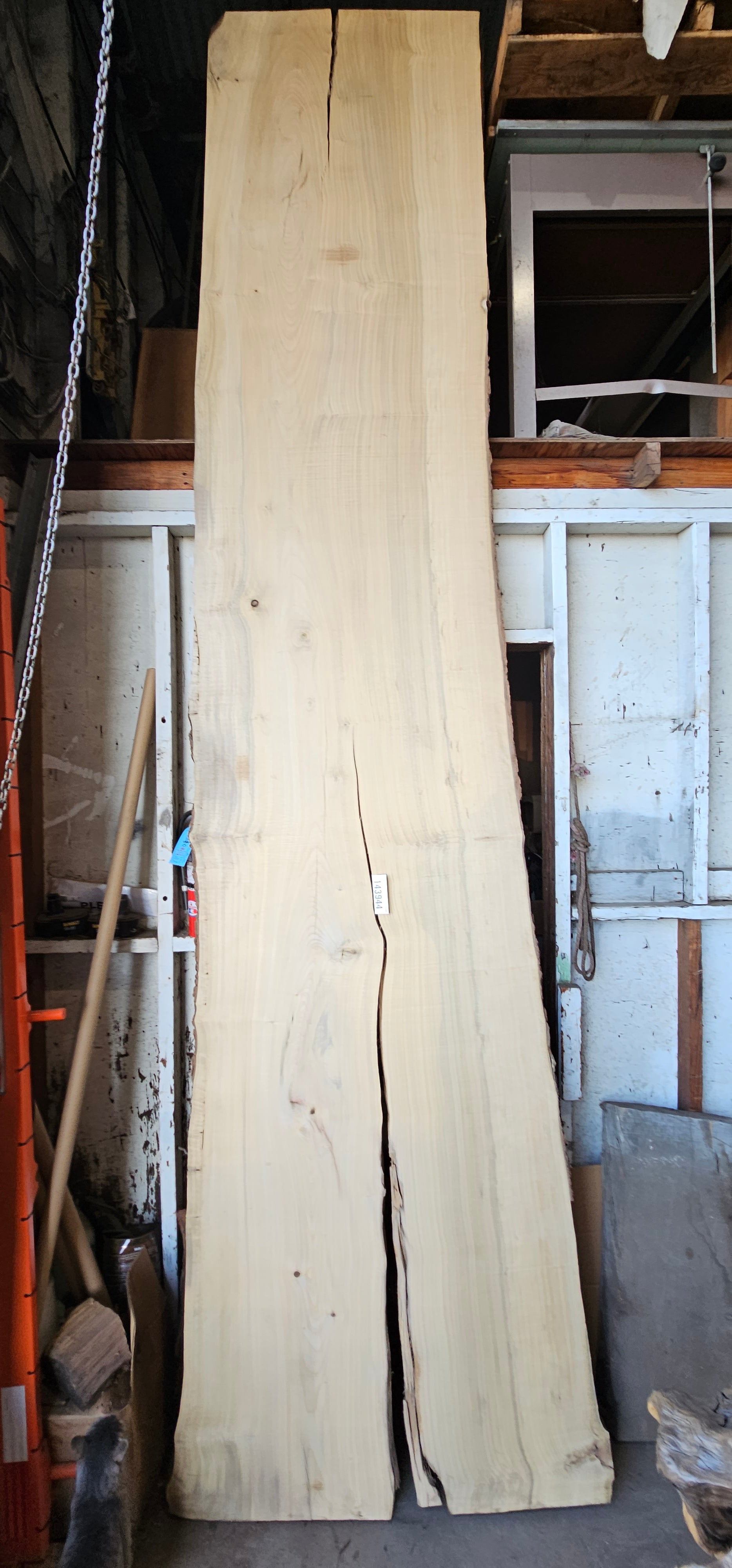 Bay Laurel #143944