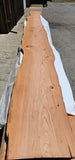 Old Growth Redwood #143506