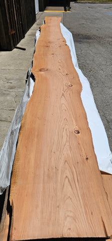Old Growth Redwood #143506