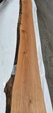 Old Growth Redwood #143507
