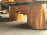 Monterey Cypress Table  #143006
