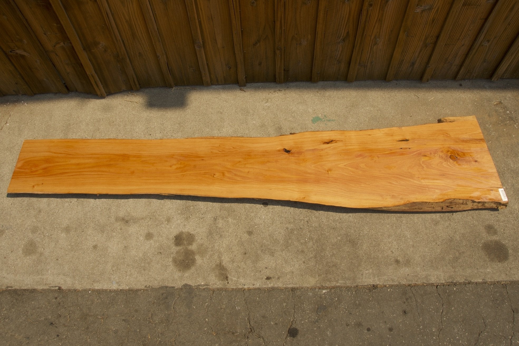 Monterey Cypress Wood Slab #143038