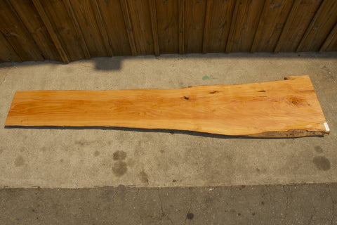 Monterey Cypress Wood Slab #143038