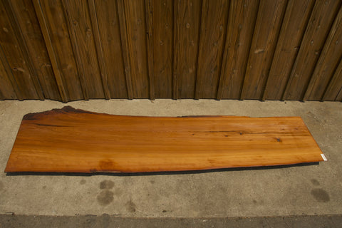 Old Growth Redwood #143043
