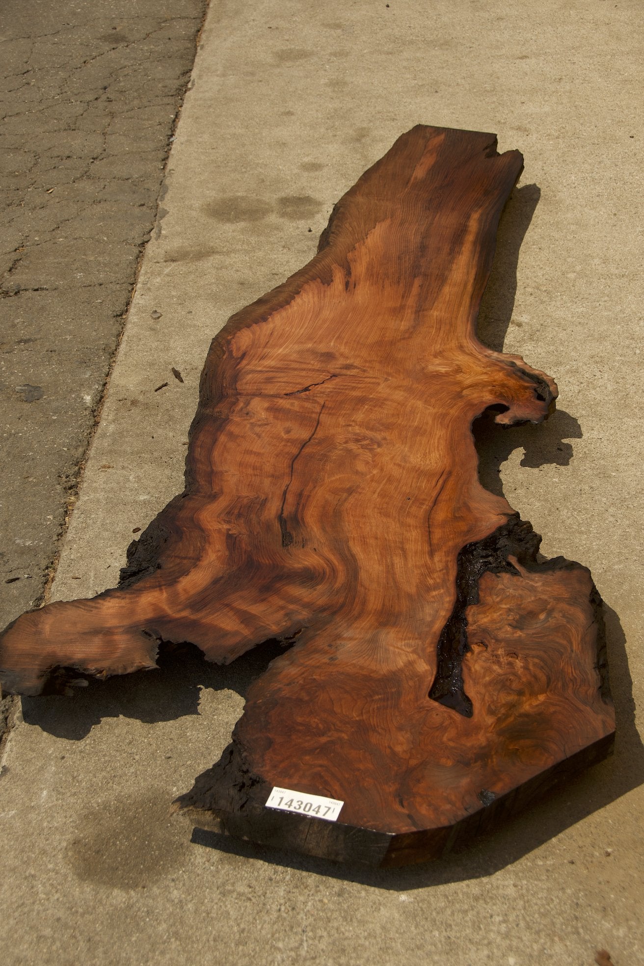 Redwood Burl #143047