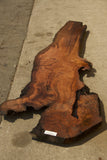 Redwood Burl #143047