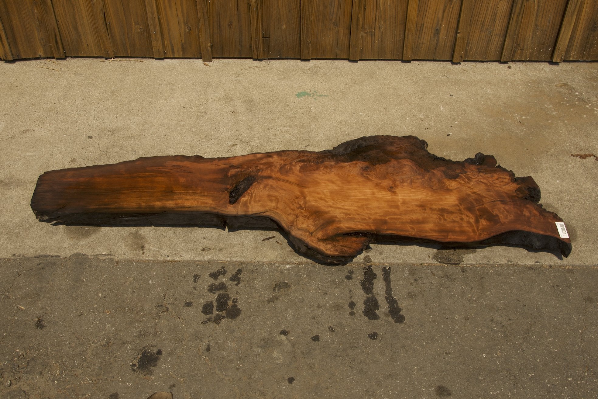 Redwood Burl #143048