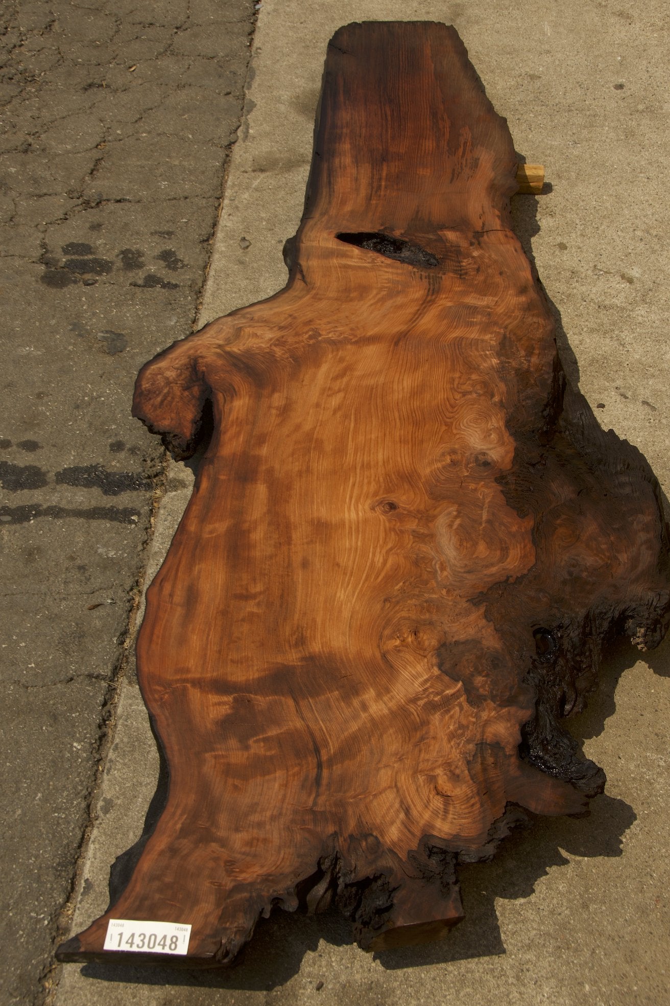 Redwood Burl #143048
