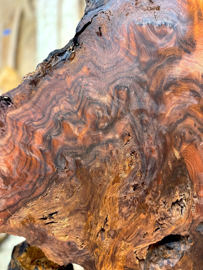 Redwood Burl