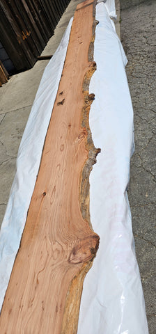 Old Growth Redwood #143501