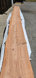 Old Growth Redwood #143503